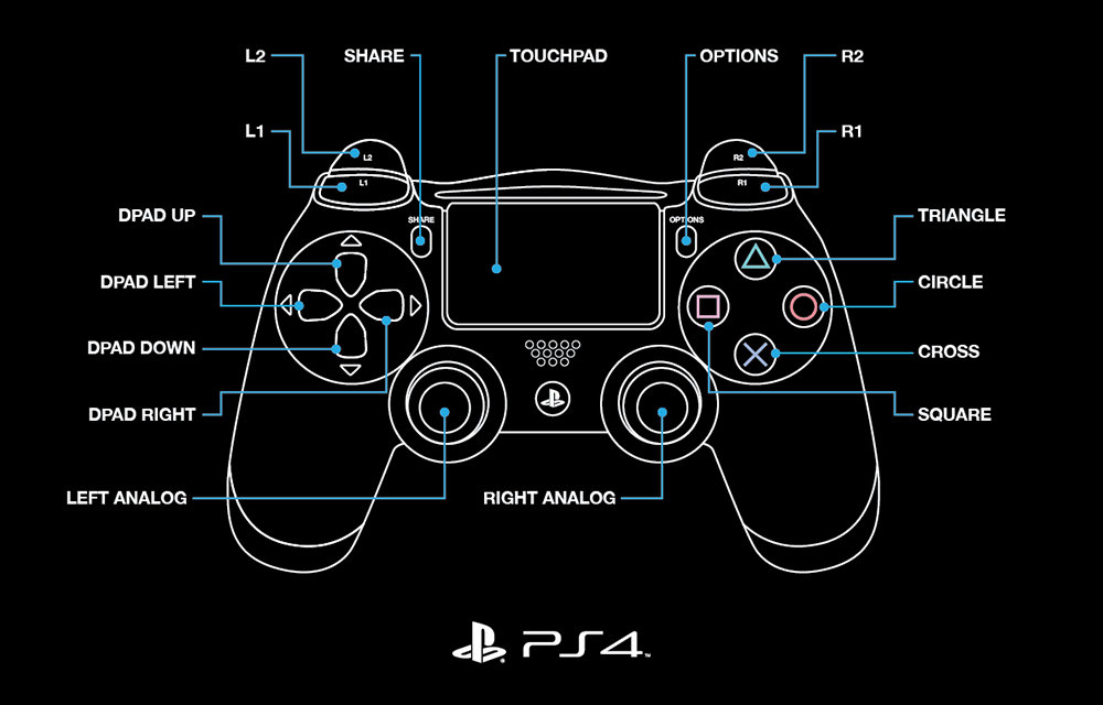 PS4 Controller Label